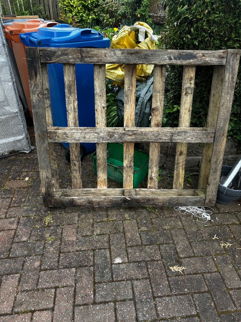 FREE pallet