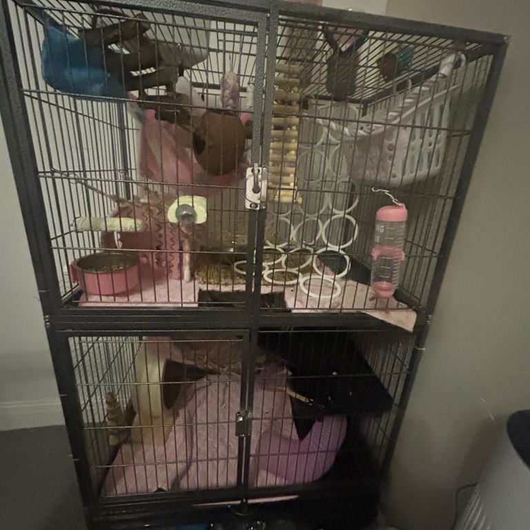 large ferret cage 