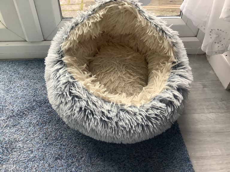 Cat bed 💯 goes to Waifs & Strays Dorset