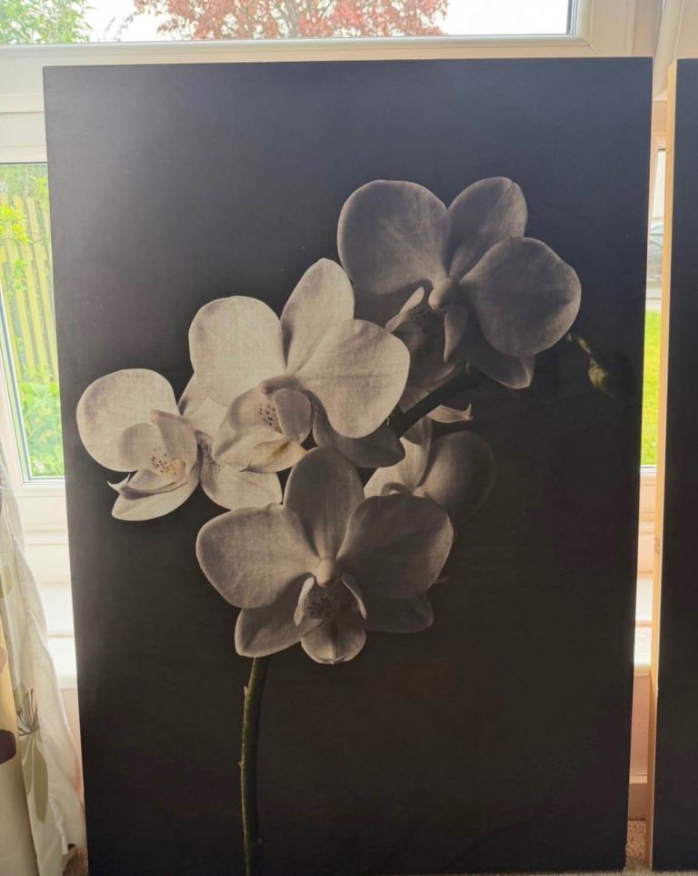Pair of Large Orchid Canvas Pictures – Black & White