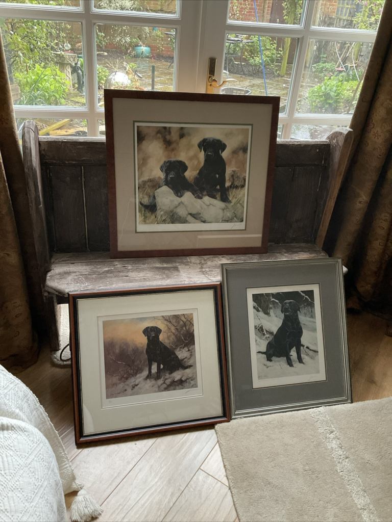 3 x John Trickett Signed and numbered Limited Edition Prints - Labrador prints