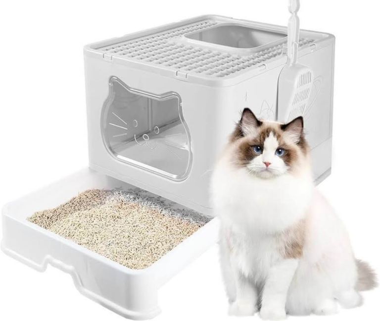 Large Cat litter box 