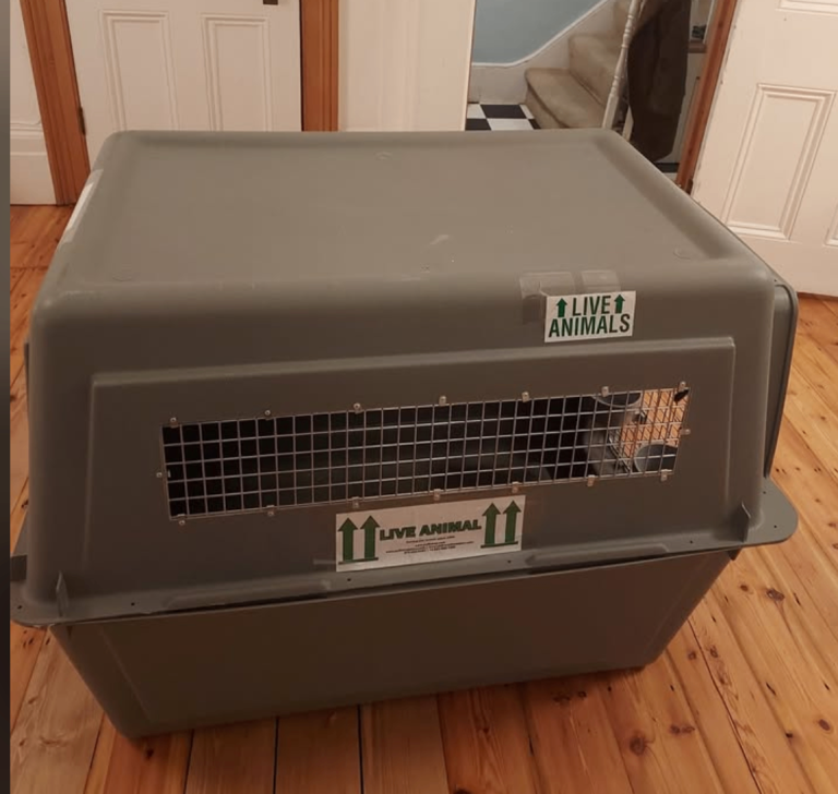 Sky Kennel dog crate IATA approved for air travel