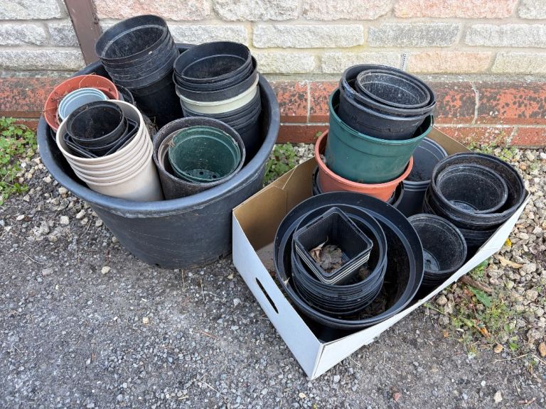 Assorted plant pots 