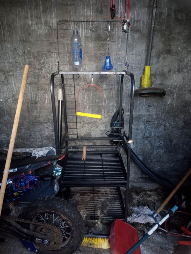 Parrot cage