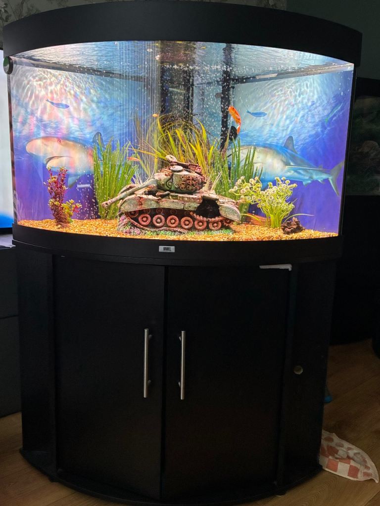 Juwel trigon 190L corner fish tank 