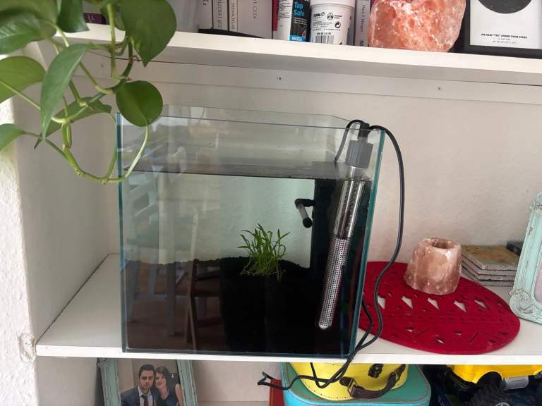 Betta Fish Aquarium Tank with Heater, Filter & LED Light and accessories