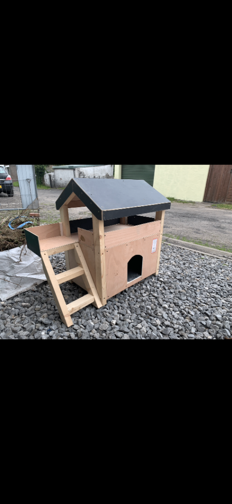 Rabbit or dog house