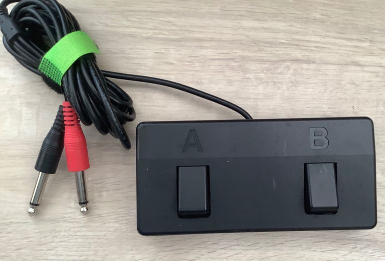 Boss Acoustic Singer Pro