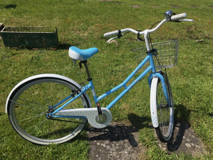 Pendleton Littleton Singlespeed bike