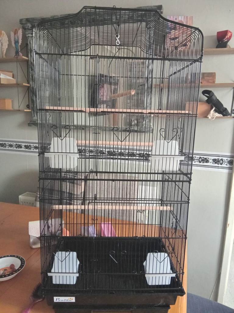 Large birdcage