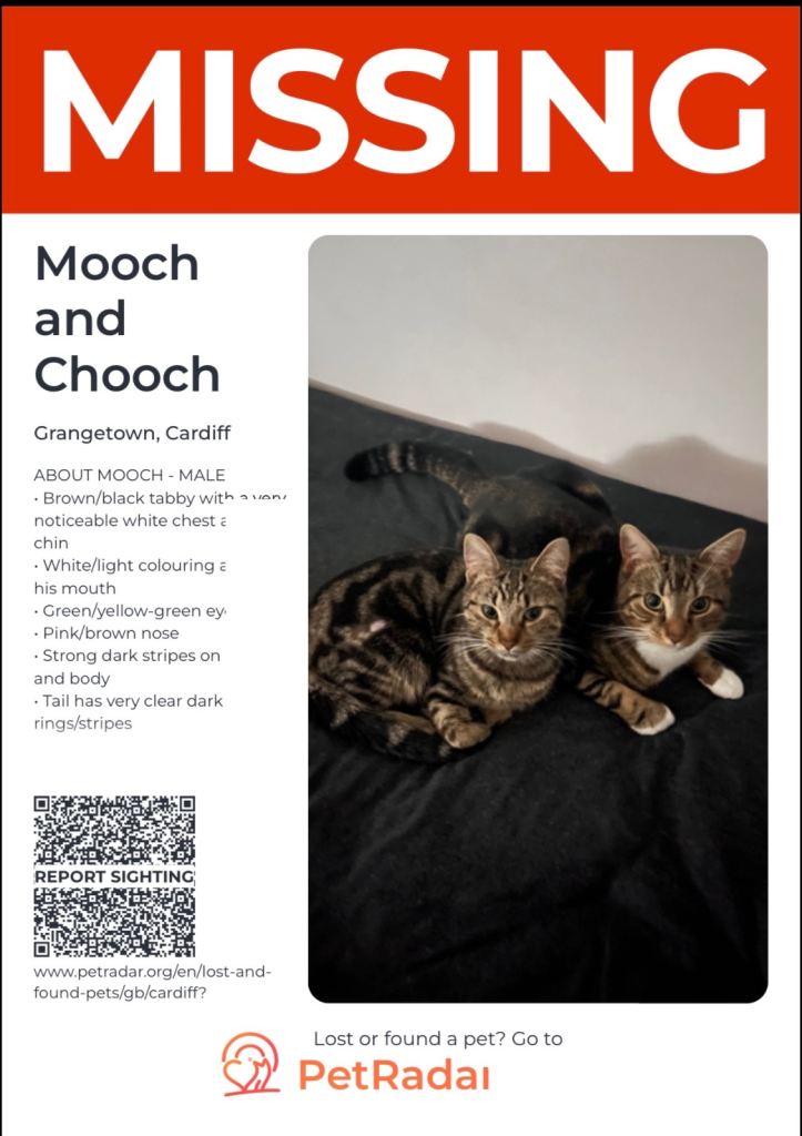 Missing Cats