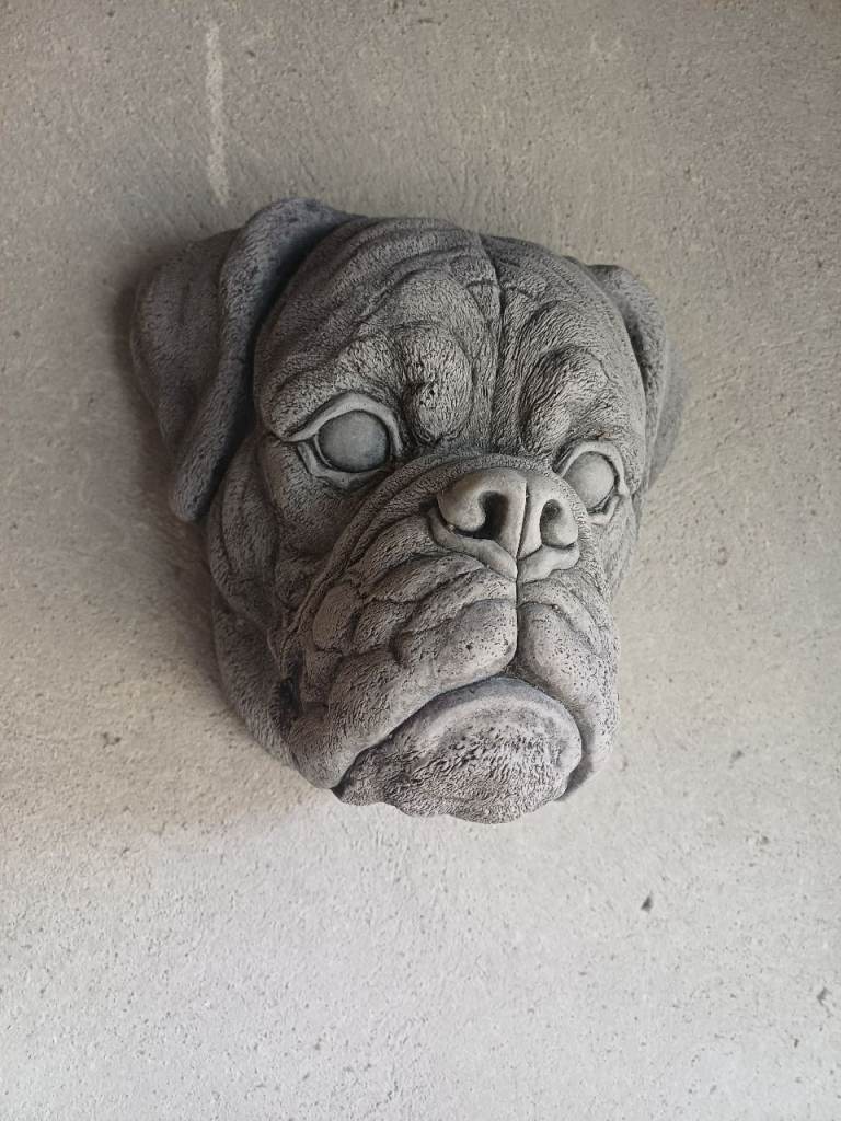 Fab Concrete Boxer dog lifelike Face 