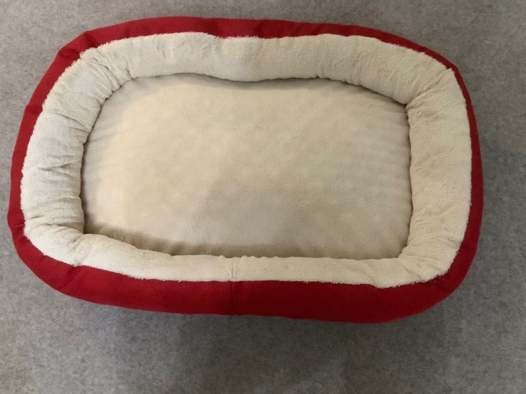 Dogs bed