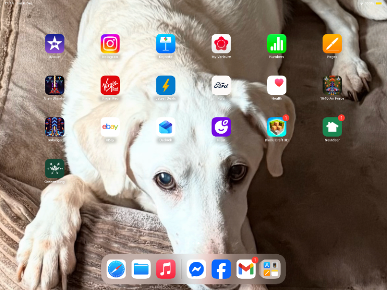 As new boxed Apple I pad pro 12.9 4th gen Wi-Fi and data cellular £600