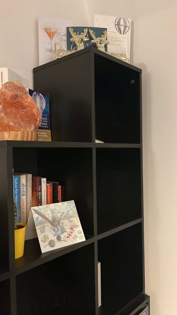 Shelf storage (shelf with a stepped design)