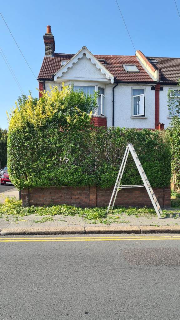 Garden Maintenance Clearance Tree Surgery