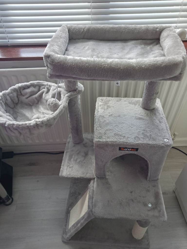 Cat/kitten scratch play post 