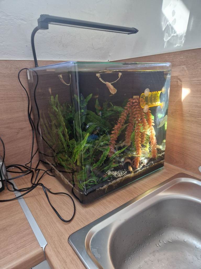 Aqua One Nano 40 Aquarium With Light And Built In Filter System