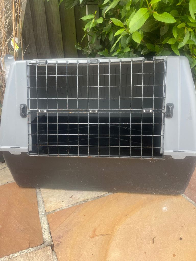 Dog car crate 