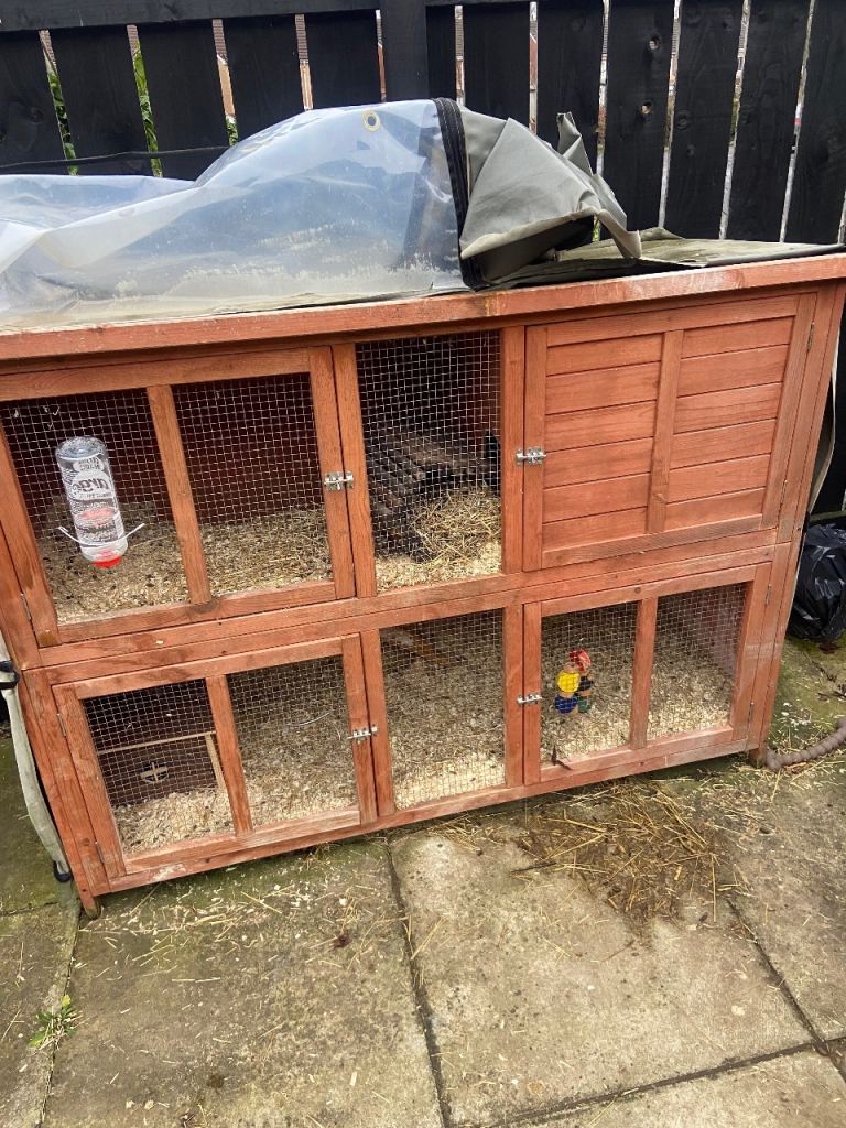 Rabbit hutch