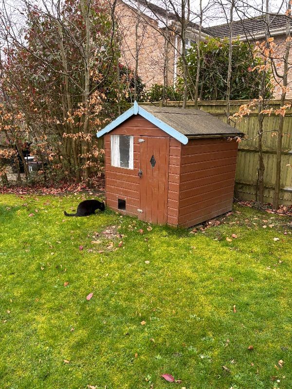 Play shed used as rabbit hutch