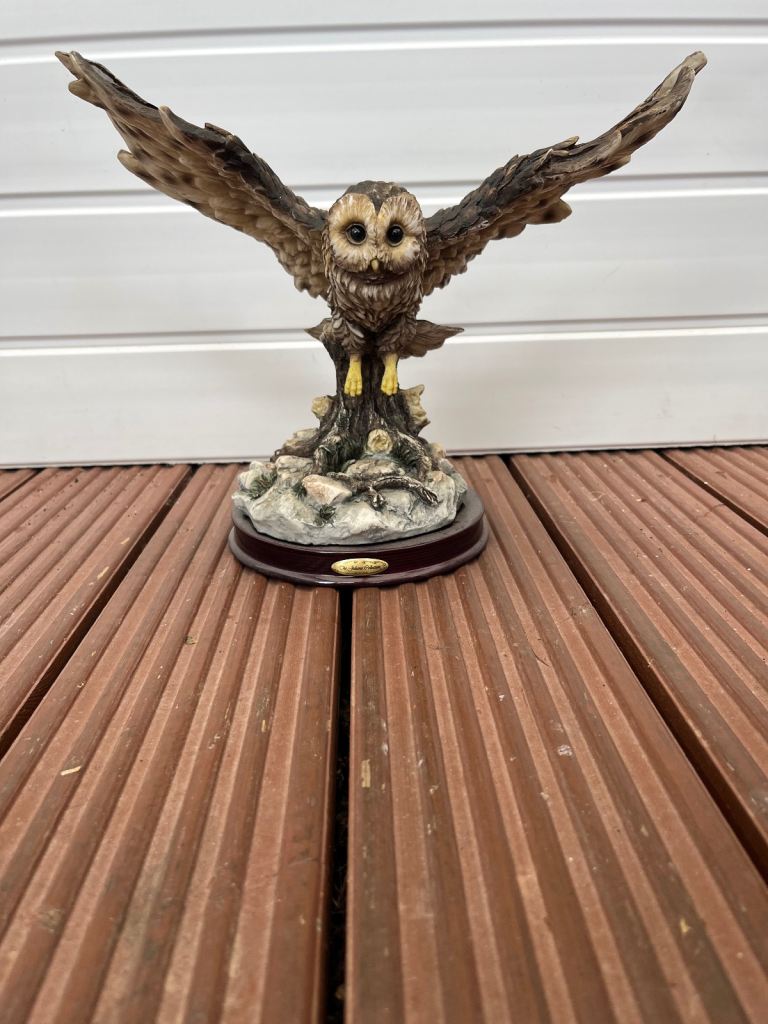 Flying owl