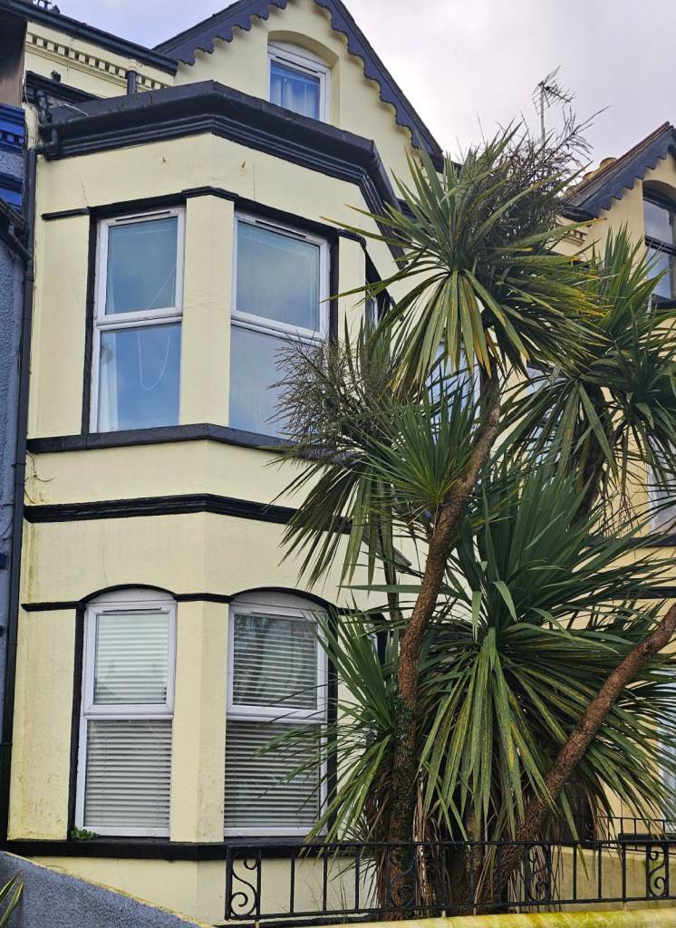 To Let:  Single bed ground floor apartment.  Bangor