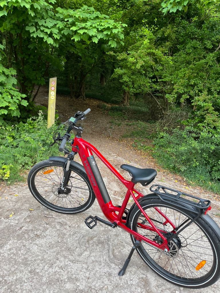 Ev bike 