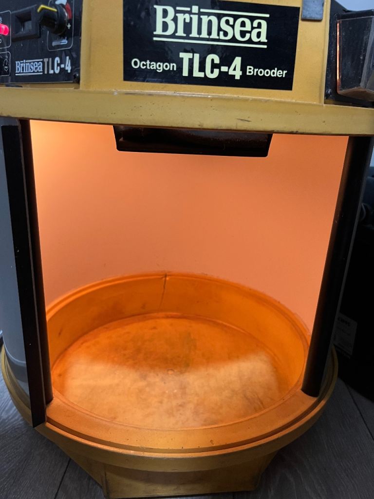 Brinsea TLC4 octagon incubator/brooder 
