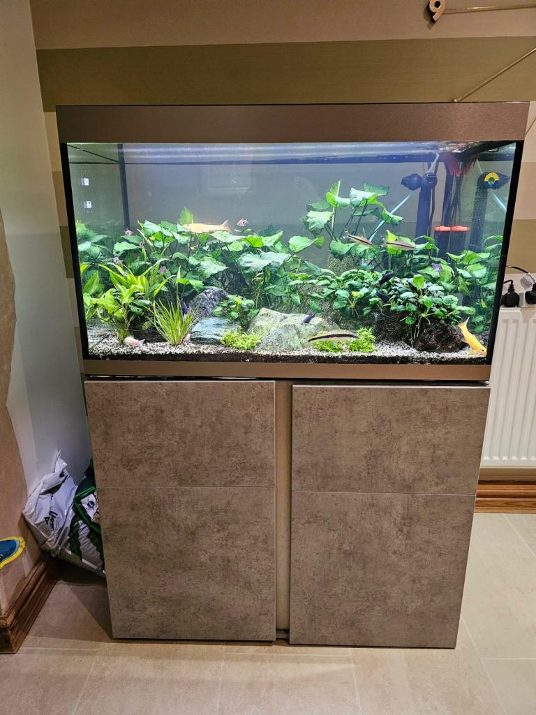 Fluval Siena 272L Aquarium & Cabinet