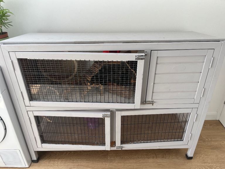Hamster/ pet hutch