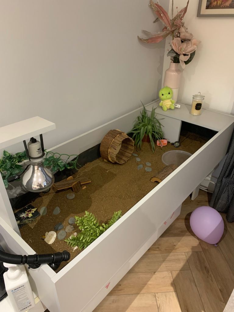 Large Tortoise Table