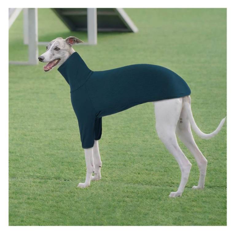 Cold Weather Dog Fleece in Medium size - Blue.