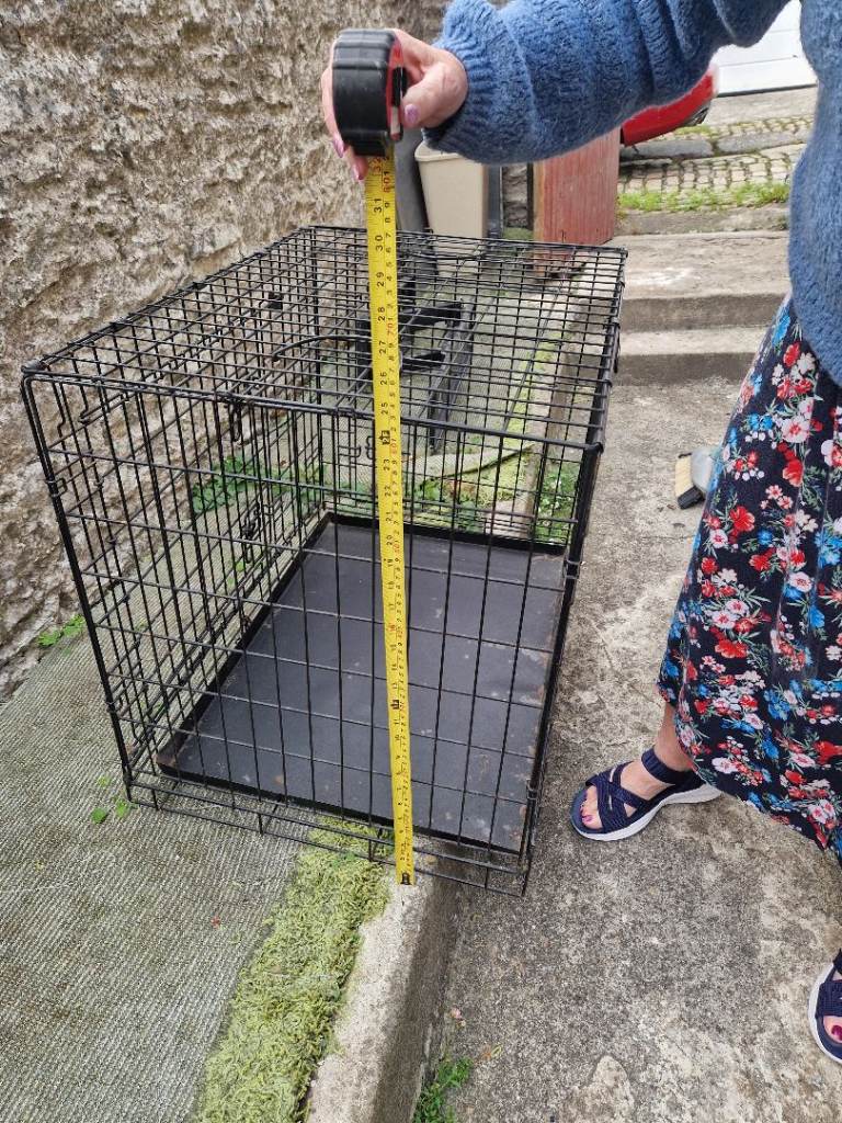 Small dag cage