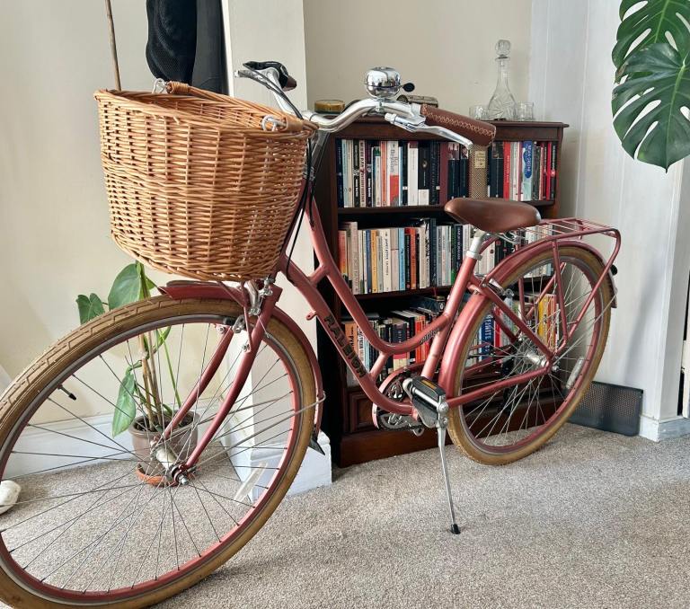 Raleigh Willow Bike