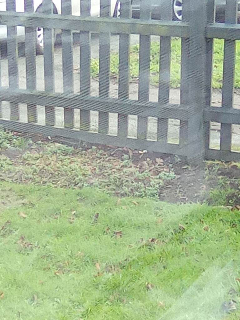 Wanted fence supplied and fixed.