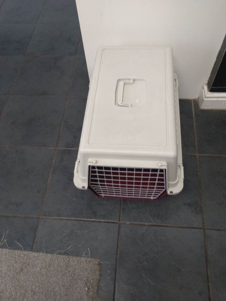 image for Grey & purple cats cage v g c pick up only 