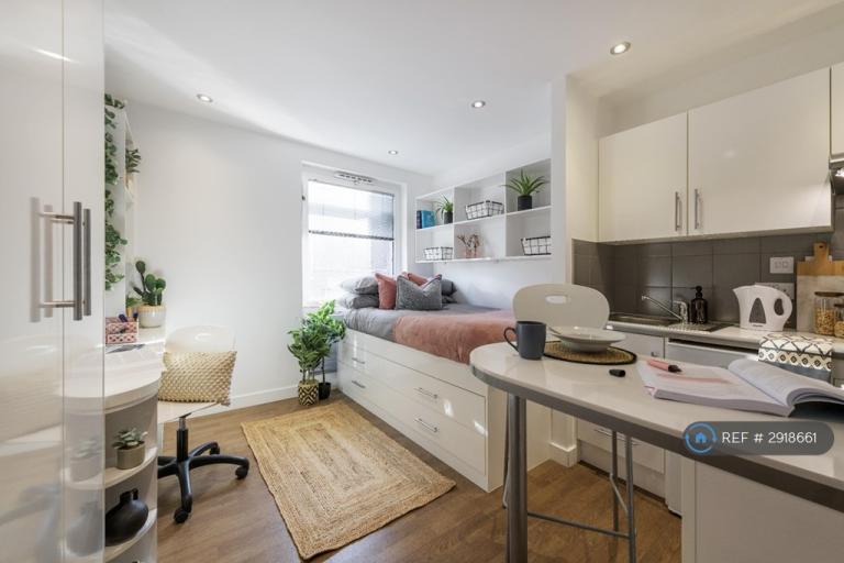 Studio flat in Hope Street, Liverpool, L1 (#2918661)