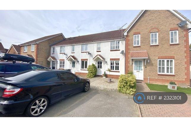 2 bedroom house in De-Marci Court, Braintree, CM7 (2 bed) (#2323101)