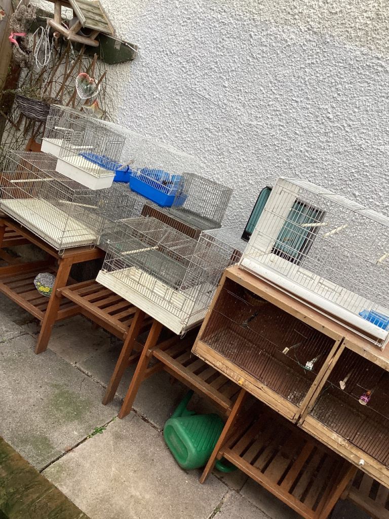 Bird cages and accessories