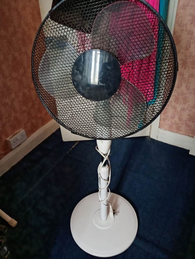 FAN