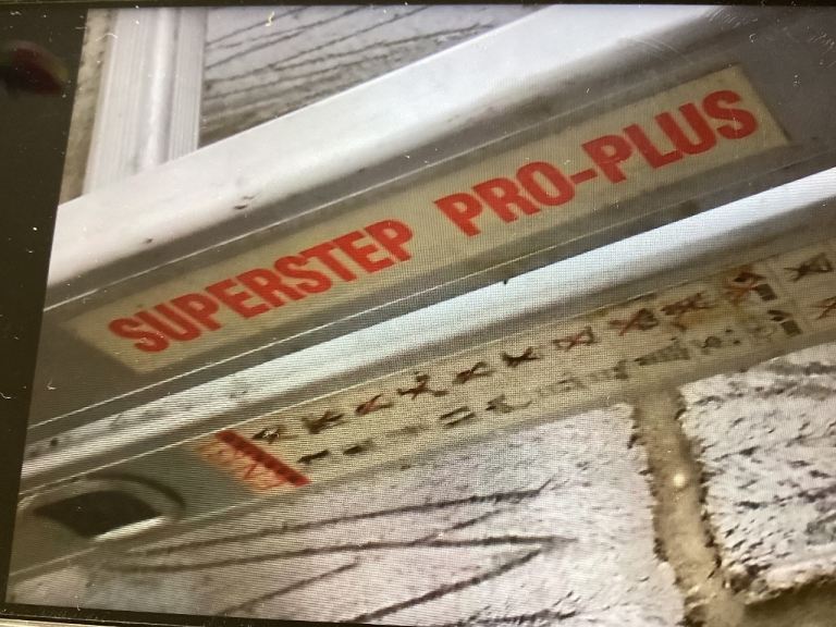 Extendable ladder