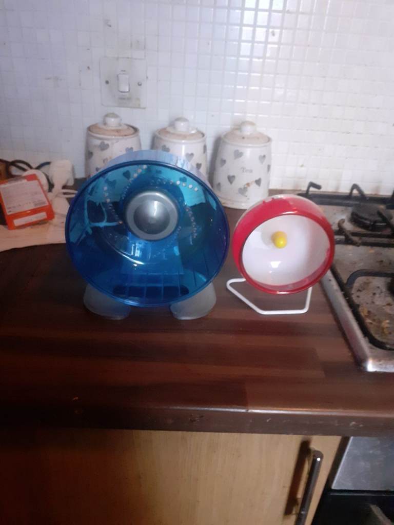 Small animall exercise wheels