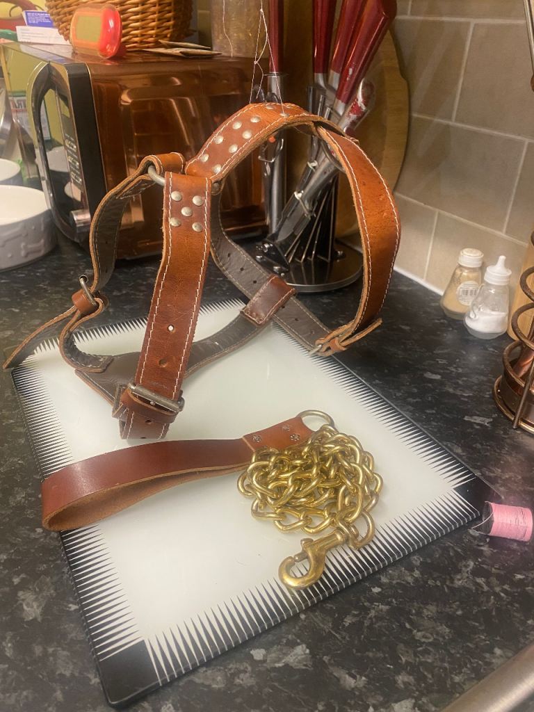 leather dog harness 