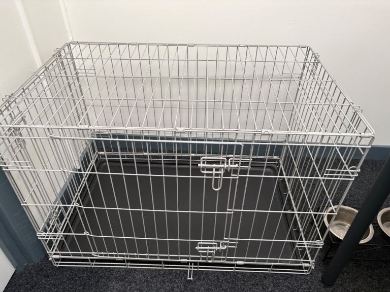 Dog create - medium