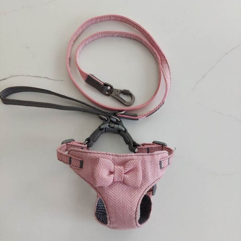 Dog Harness and Lead