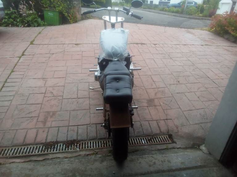 Hardtail Lowrider project.