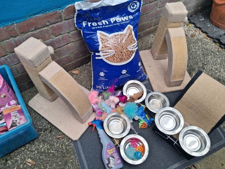 For a Kitten "starter pack of goodies" 
