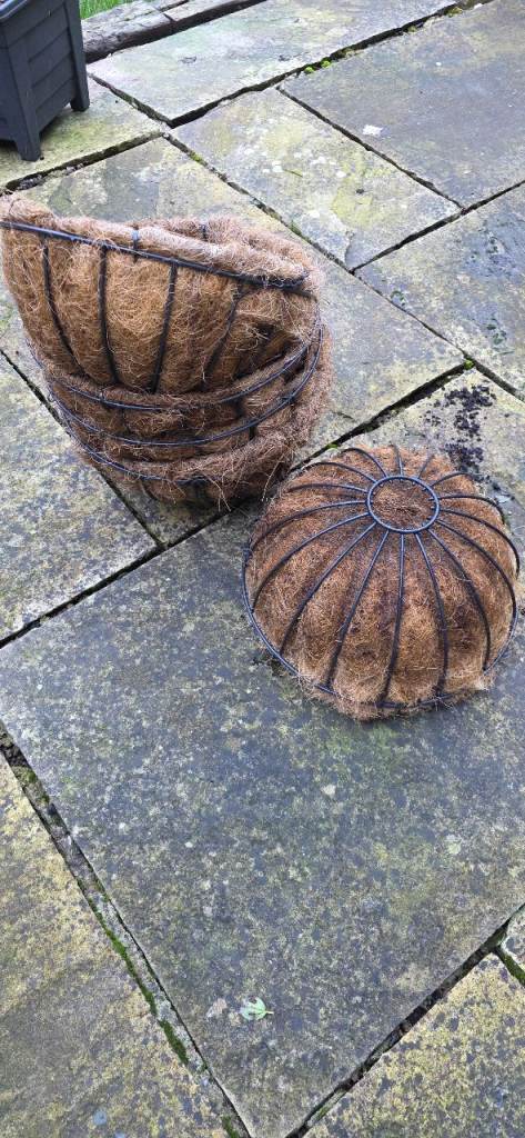 Hanging baskets 